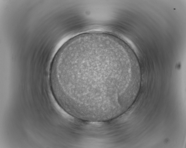 X0000091081483200709041230