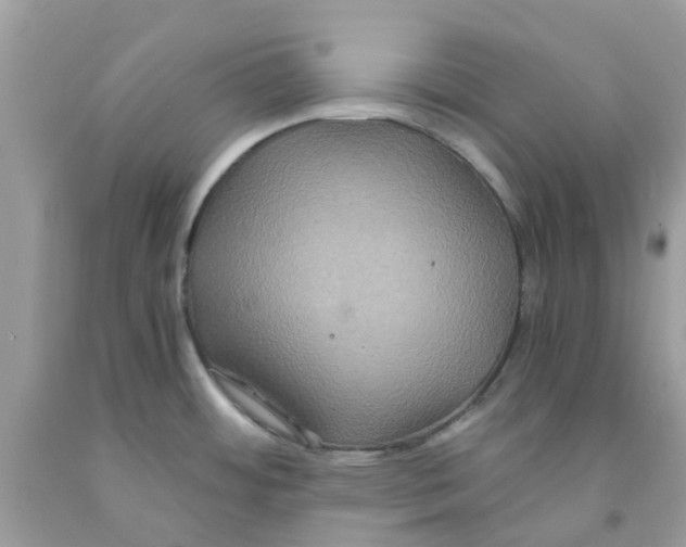 X0000091081484200709041230