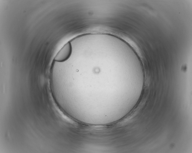 X0000091081486200709041230