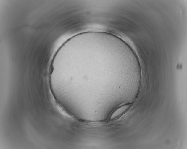 X0000091081488200709041230