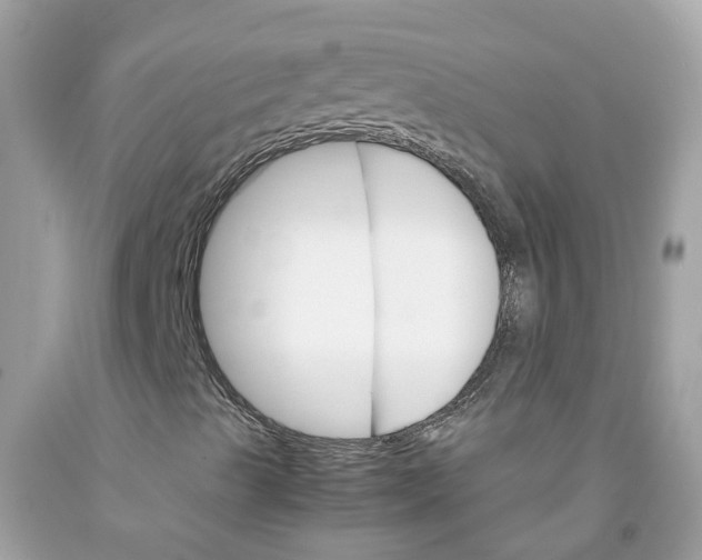 X0000091081489200709041229