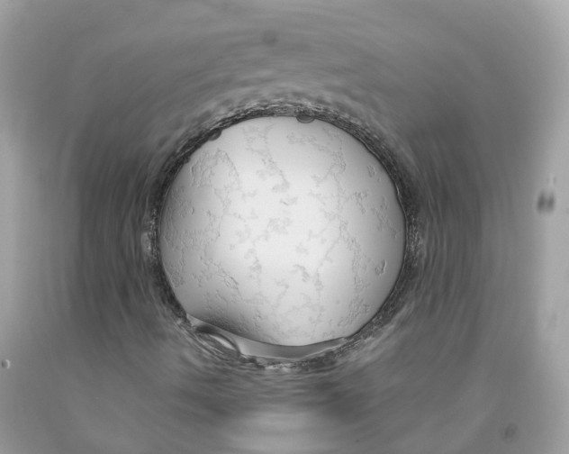 X0000091081490200709041229