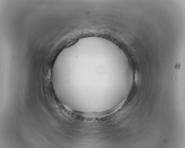 X0000091081492200709041229