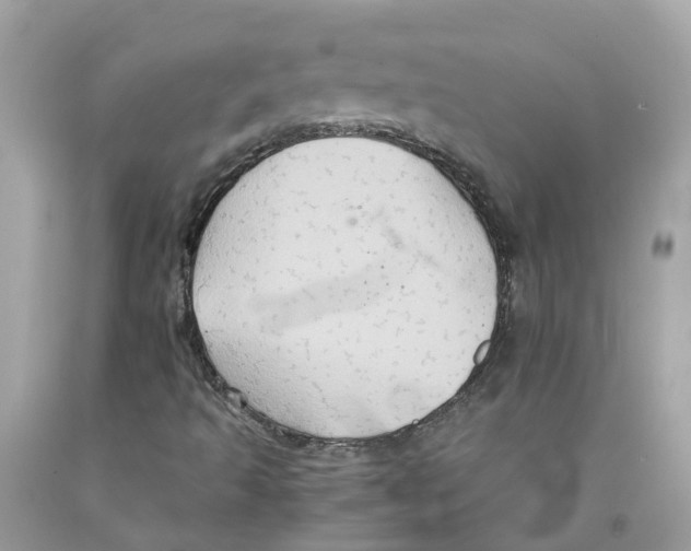 X0000091081493200709041229