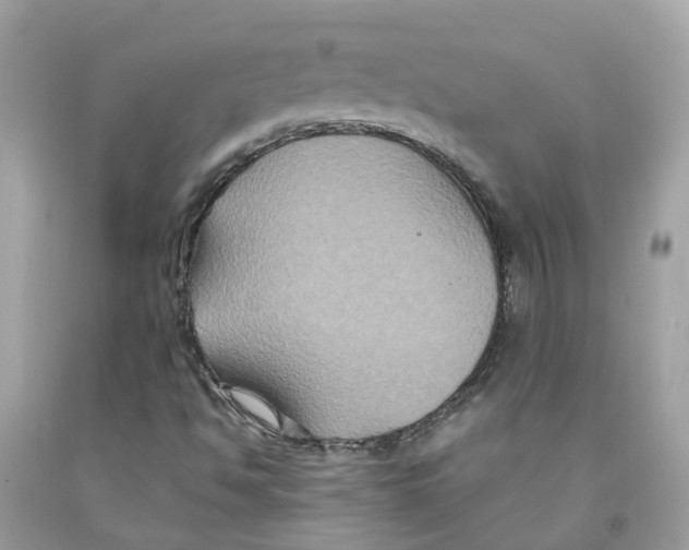 X0000091081494200709041229