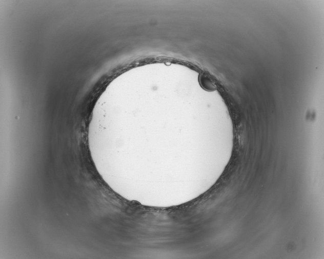 X0000091081495200709041229