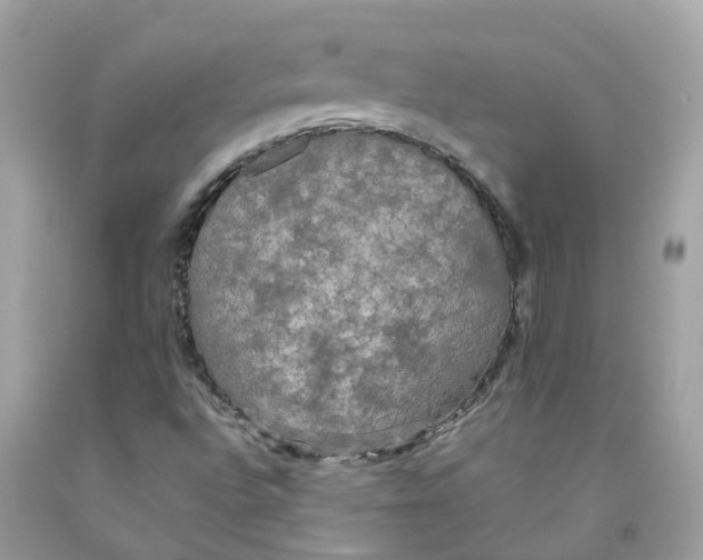 X0000091081496200709041229