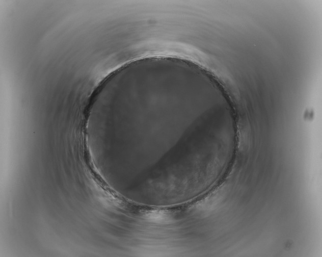 X0000091081497200709041229