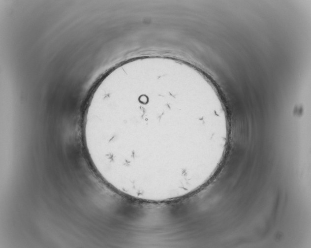 X0000091081498200709041229