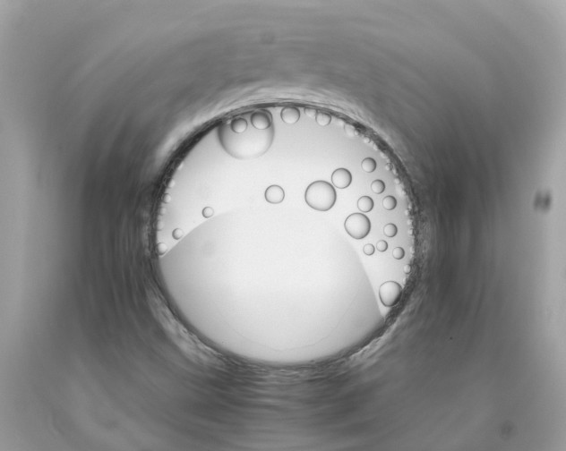 X0000091081499200709041229