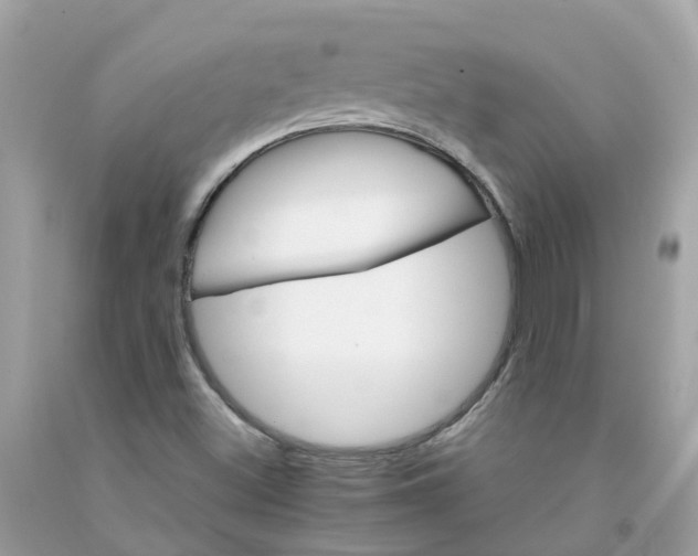 X0000091081500200709041229