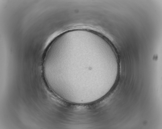 X0000091081501200709041229