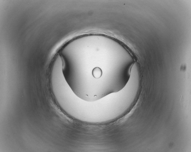 X0000091081502200709041229