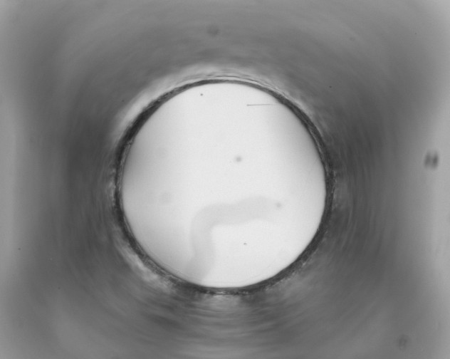 X0000091081503200709041229