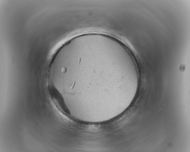 X0000091081504200709041229