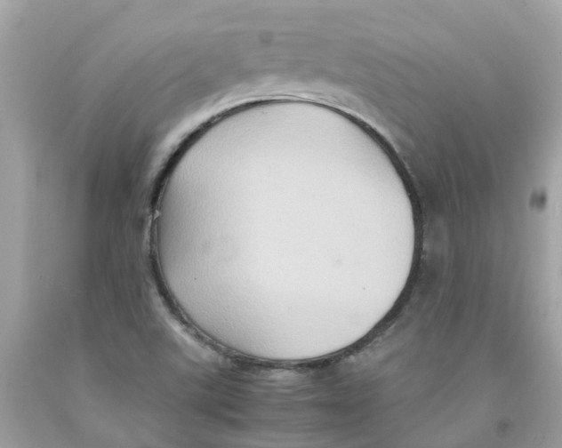 X0000091081507200709041229