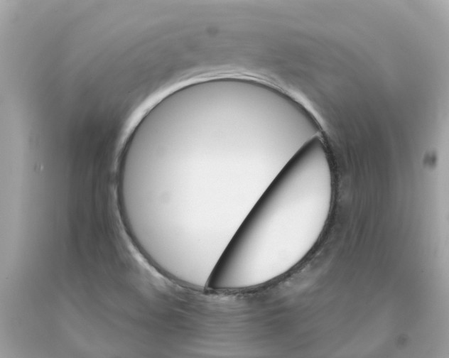 X0000091081508200709041229