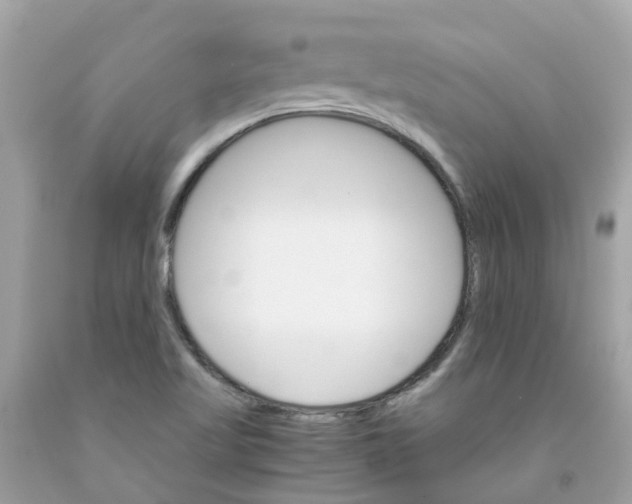 X0000091081509200709041229