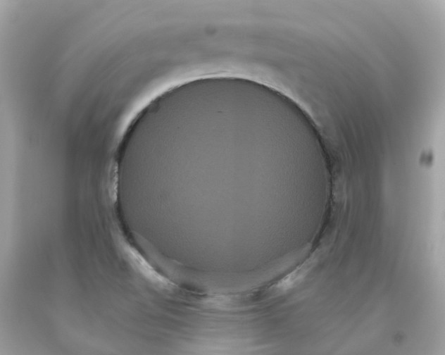 X0000091081510200709041229