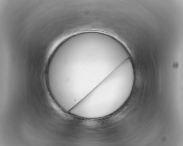 X0000091081511200709041229