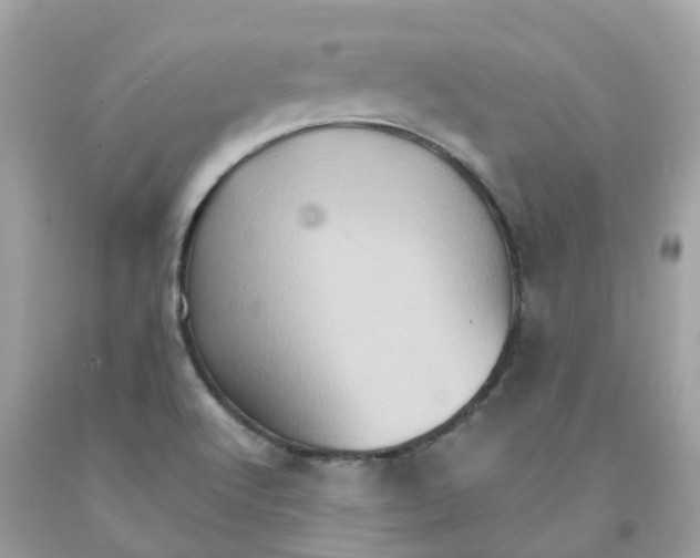 X0000091081512200709041229