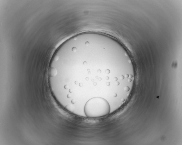 X0000091081513200709041229