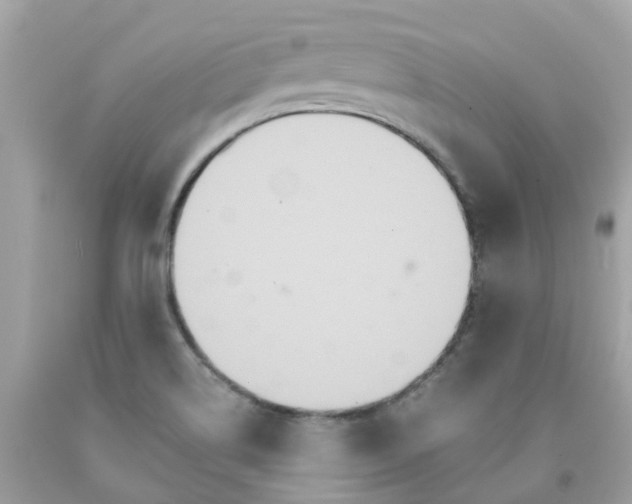 X0000091081514200709041229