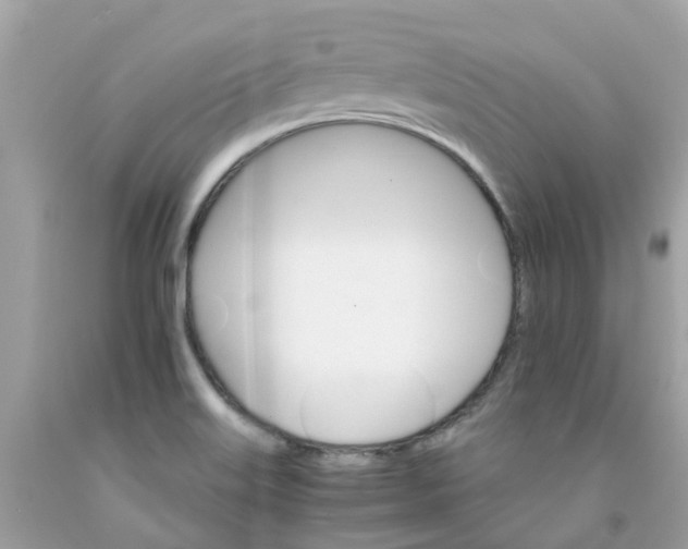 X0000091081515200709041229