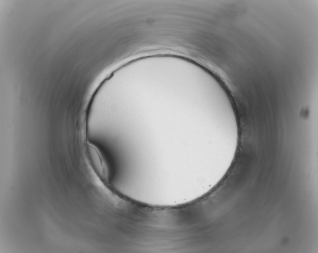 X0000091081516200709041229