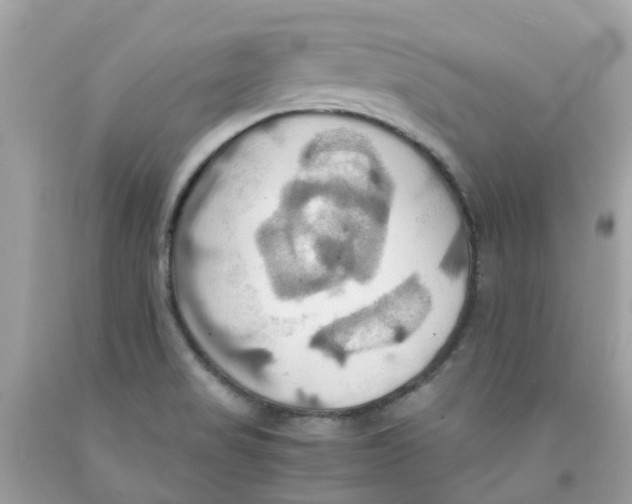 X0000091081517200709041229