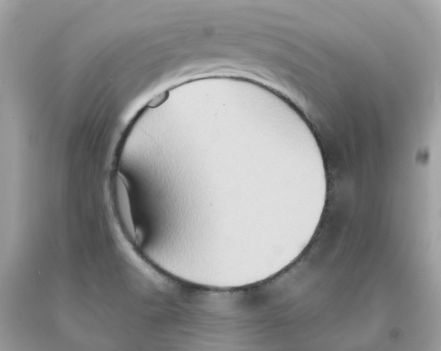 X0000091081518200709041229