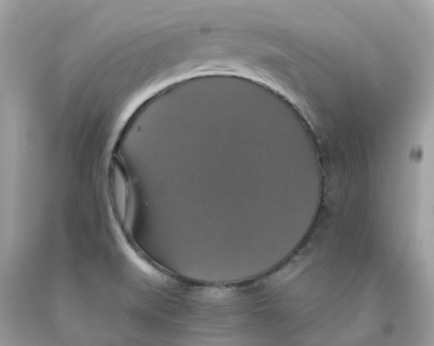 X0000091081519200709041229