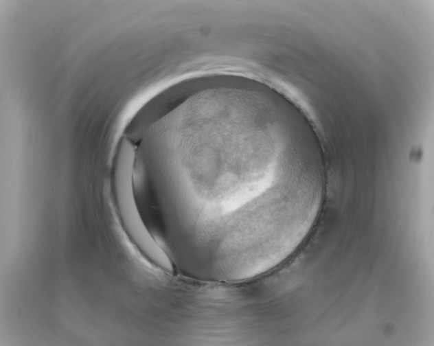 X0000091081520200709041229