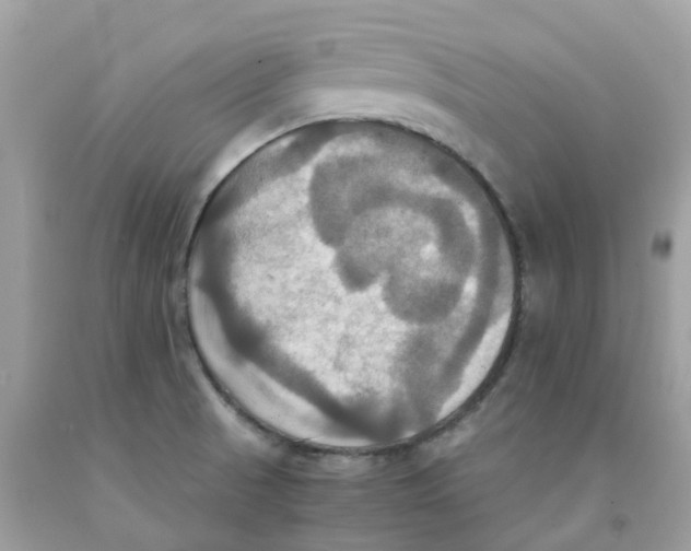 X0000091081521200709041229