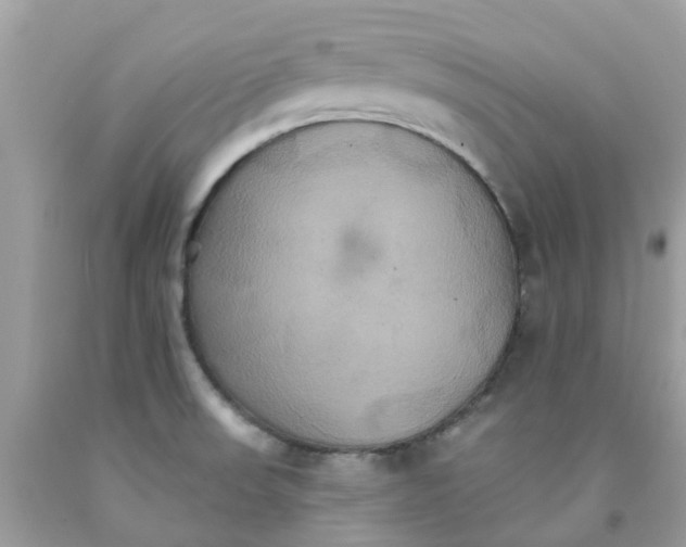 X0000091081523200709041229