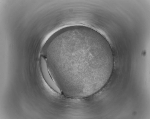 X0000091081524200709041230