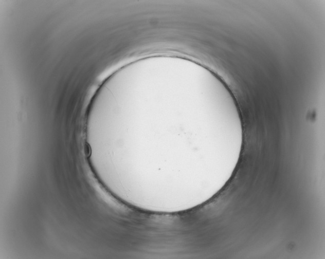 X0000091081526200709041230