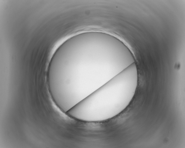 X0000091081527200709041230