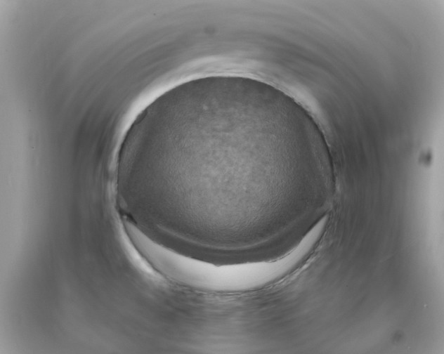 X0000091081528200709041230