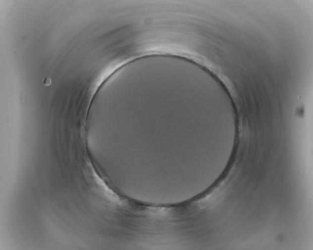 X0000091081529200709041230