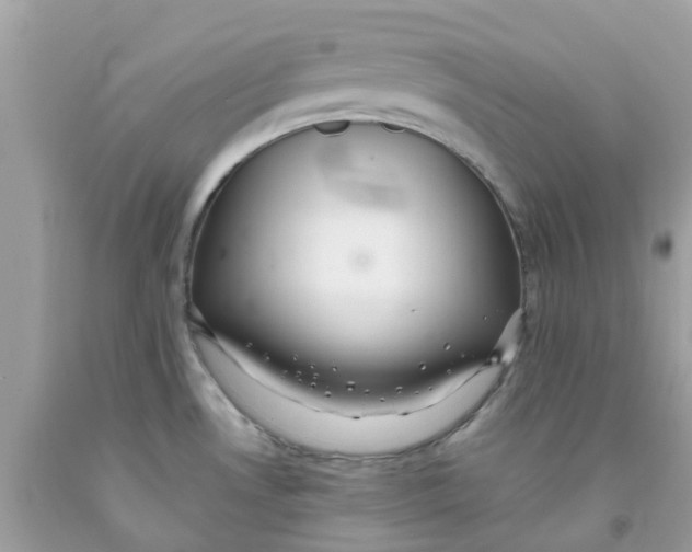 X0000091081530200709041230