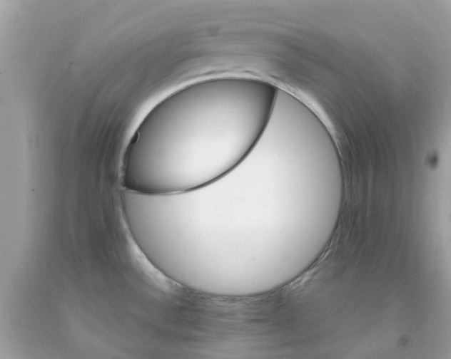 X0000091081532200709041230