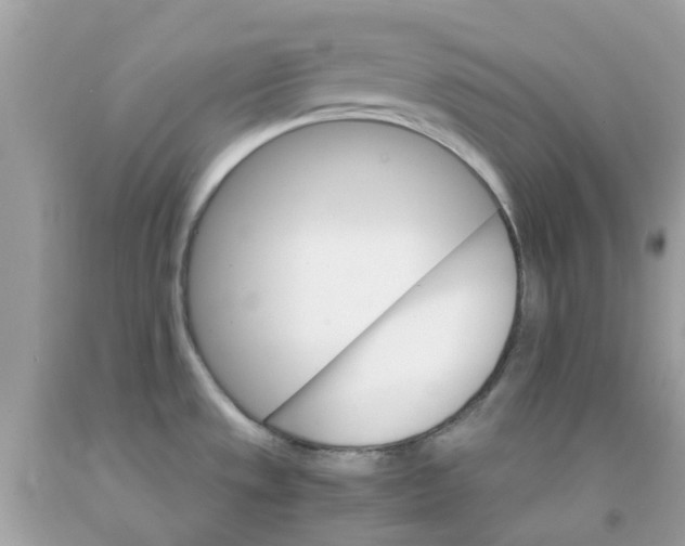 X0000091081533200709041230