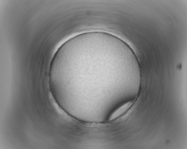 X0000091081534200709041230