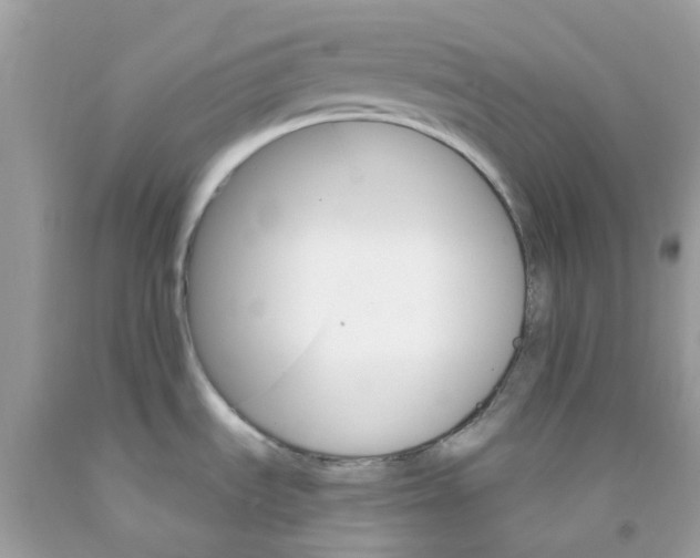 X0000091081535200709041230