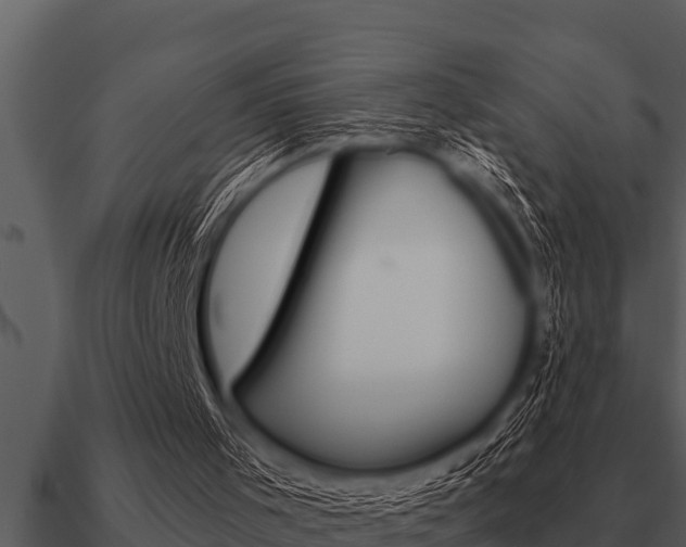 X0000091090001200708061009