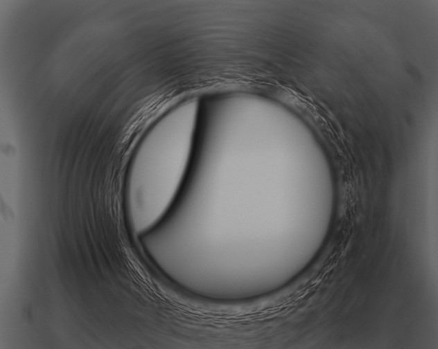 X0000091090002200708061009