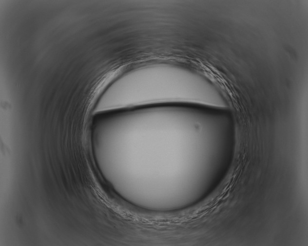 X0000091090003200708061009
