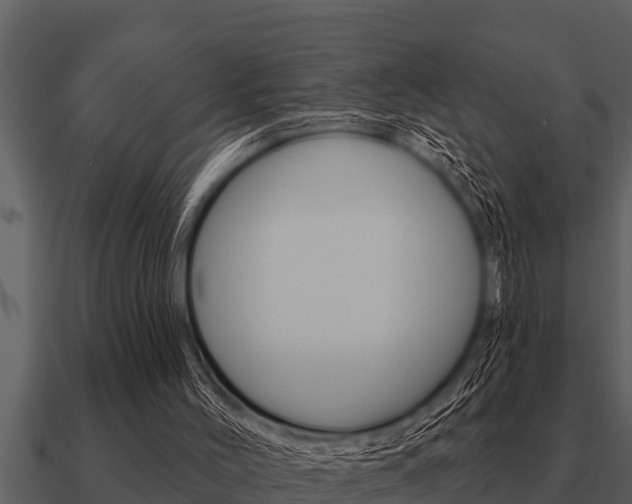 X0000091090004200708061009