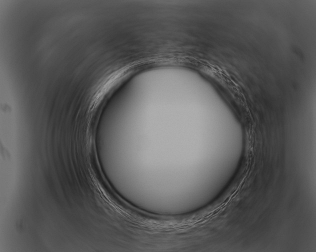 X0000091090005200708061009